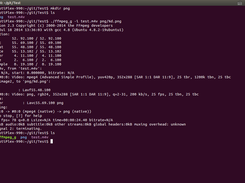 extract DCT coefficients