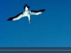 Videojs player demo