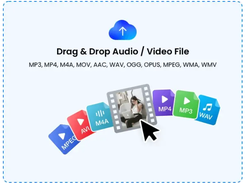 VideoToWords.ai Screenshot 2