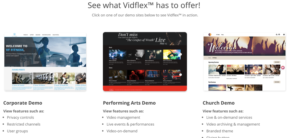 Vidflex Screenshot 1