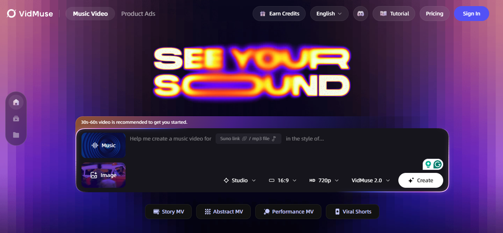 VidMuse Screenshot 1