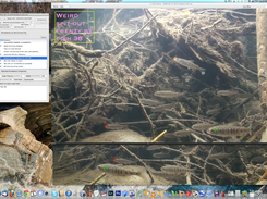 The screen for miscellaneous annotations, which serve as useful bookmarks for important points on the video.