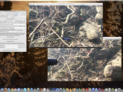 The video and still capture screen, from which users can export snippets from videos with their analyses overlaid.