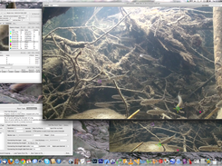 The main measurement screen. Also shown is the window to edit object and event types and the visual settings for their overlays on the screen.