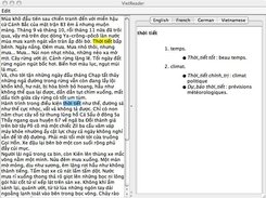 VietReader on Mac. Blue highlights the selected word; yellow highlights homographs. 