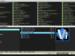 Miller-view, graphics preview, multiline statusline with extra information, ls-like view