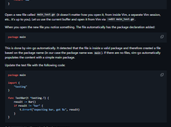 vim-go-tutorial Screenshot 1