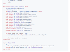 vim-lsp Screenshot 1