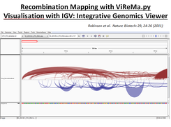 Map with ViReMa, view with IGV