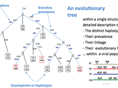 An evolutionary trees
