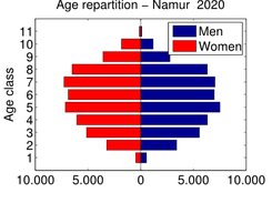 Simulated age pyramid in 2020 (city of Namur)