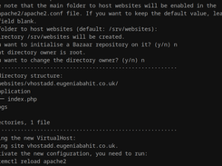 Customising a virtual host
