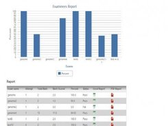 Graphical Analysis of Examinee Exams