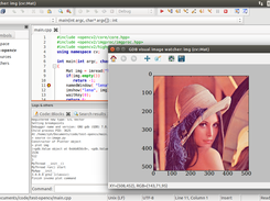 visual debugger on GNU/Linux