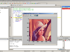 visual debugger on Windows