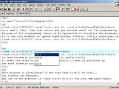 vtex main window with ".html" file