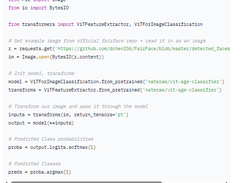 vit-age-classifier Screenshot 1