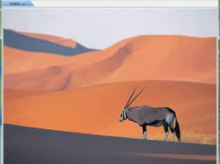 Default Main Window