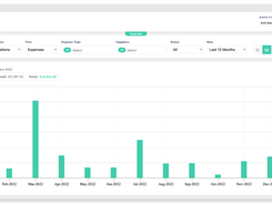 Expenses View in Vizii