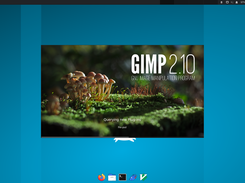 Gimp