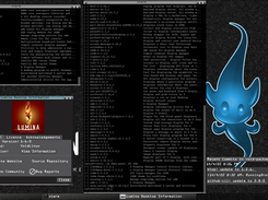 Voidlumina  - default DTE, Xterm, embedded widgets