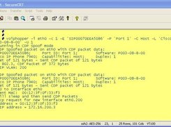 VoIP Hopper in Action