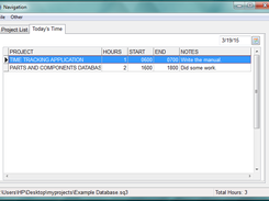 Summary of a selected date`s time entries are reported in the Today`s Time tab.