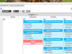 Wall calendar view