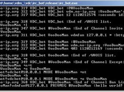 Bot running in Windows(TM) console window
