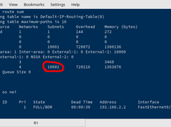 Receiving 10,000 routes in GNS3