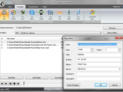 VSDC Free Audio Converter Screenshot 1