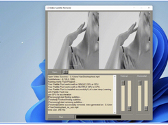 Video-subtitle-remover (VSR) Screenshot 3