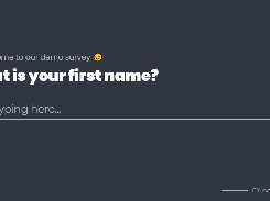 Vue Flow Form Dark Theme Text Field