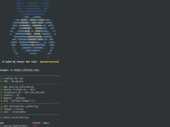 VulnX Screenshot 1