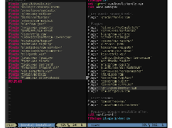 Vundle.vim Screenshot 1