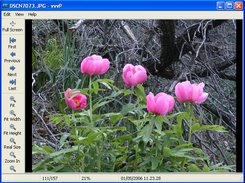 Windows: image viewer