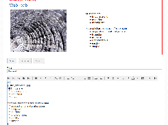 WackoWiki edit and preview page