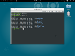 Waha Linux Screenshot 2