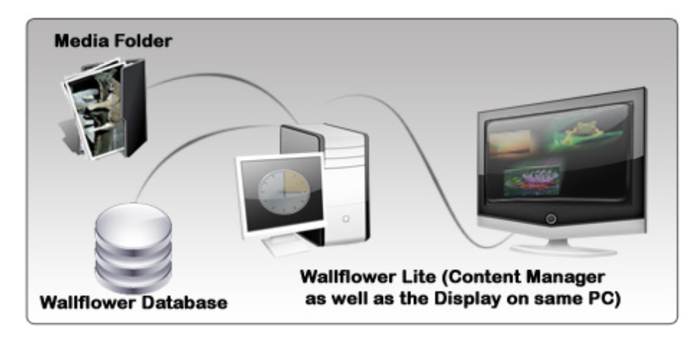 Wallflower Digital Signage Screenshot 1