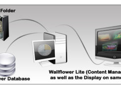 Wallflower Digital Signage Screenshot 1