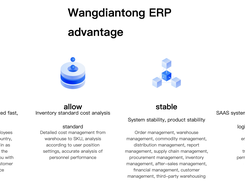 Wangdiantong ERP Screenshot 1