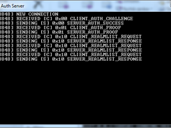 Auth server console