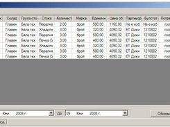 Reports Window