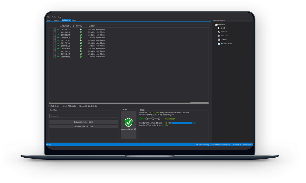 Wasabi Wallet Screenshot 1