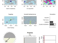 Blue whale survey
