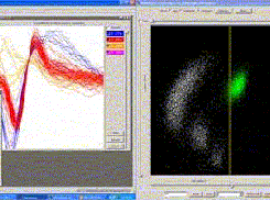 WaveSorter's two windows