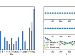 Quantum dynamics of excitons on a linear chain ...