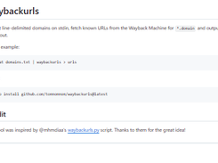 waybackurls Screenshot 1