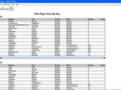 Web Page Views Report