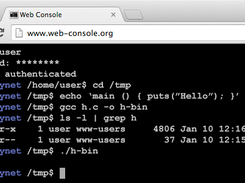 Web Console